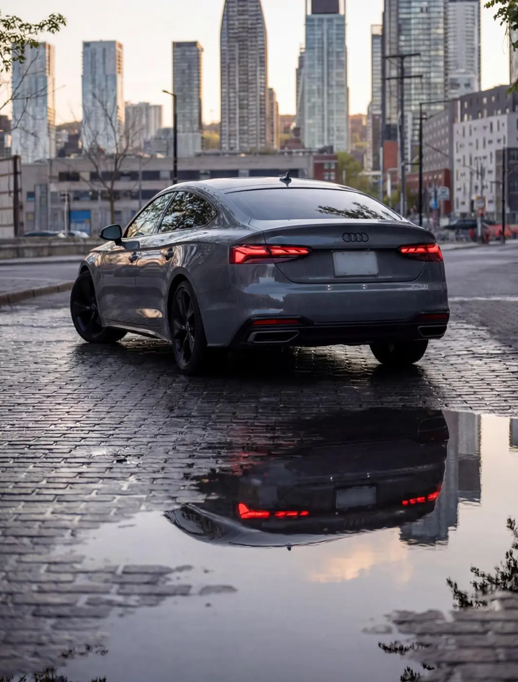 Audi A5 S-line, photo 4 sur 5