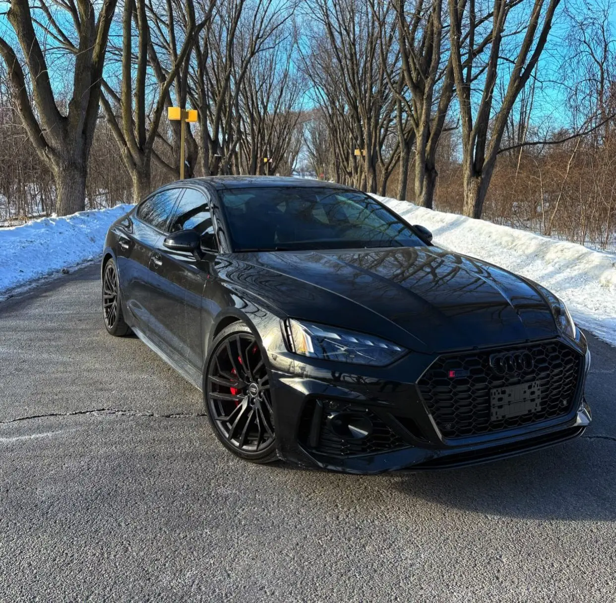 Audi RS5 Sportback 2024, photo 3 of 12